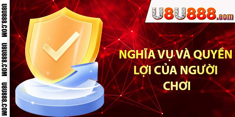 Nghĩa vụ và quyền lợi của người chơi đối với chính sách bảo mật